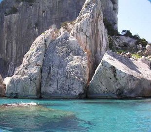 mare